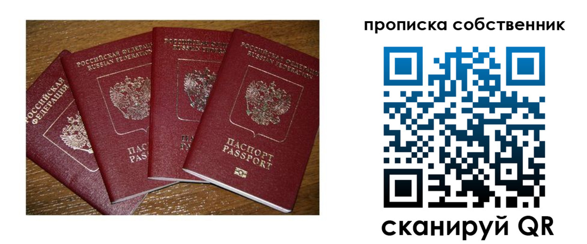 прописка поиск в Опочке